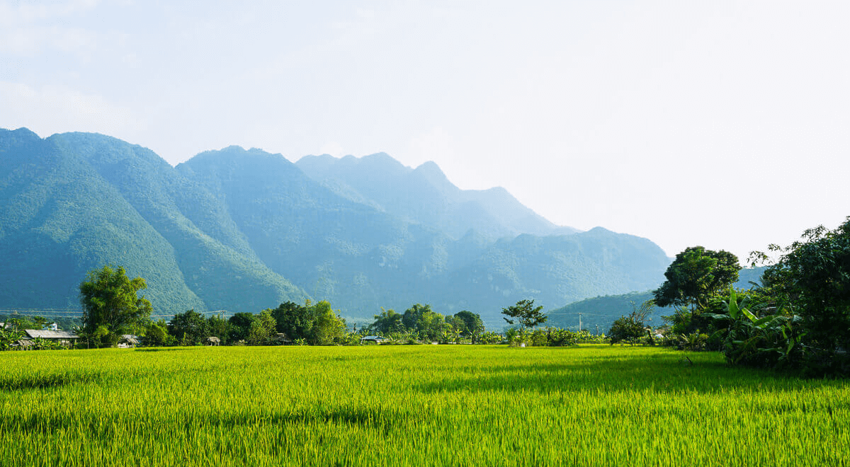 mai chau