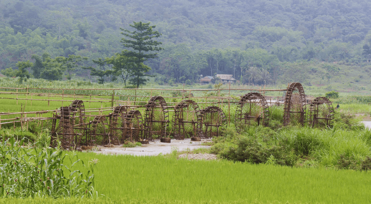 norias à Pu Luong