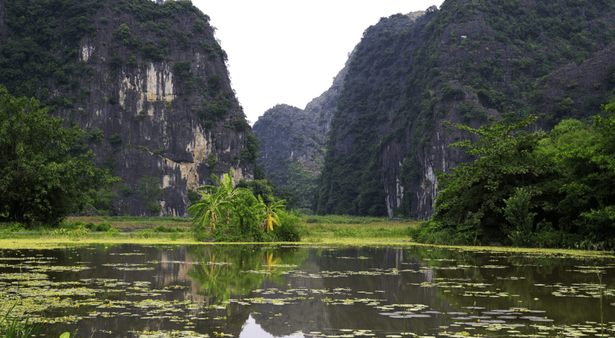 thung nang