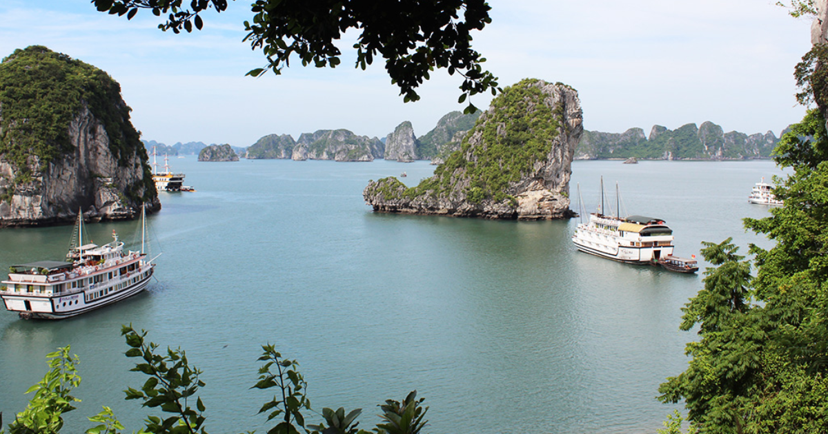 Vue panoramique de la baie d’Ha Long et ses formations rocheuses