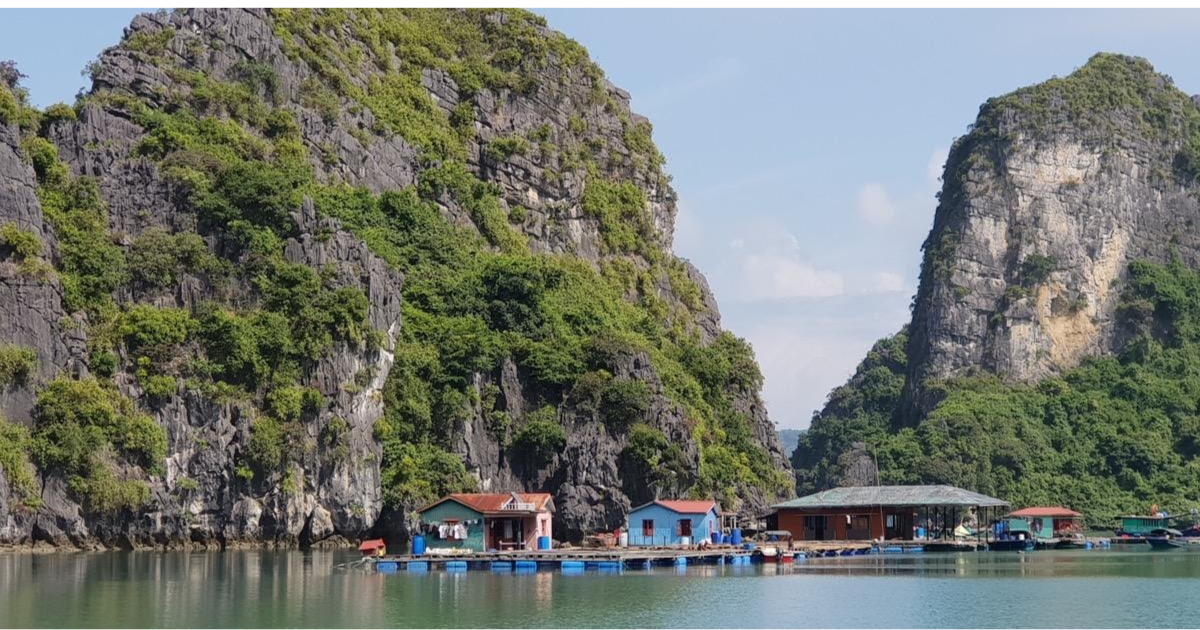Village flottant de la baie d’Ha Long