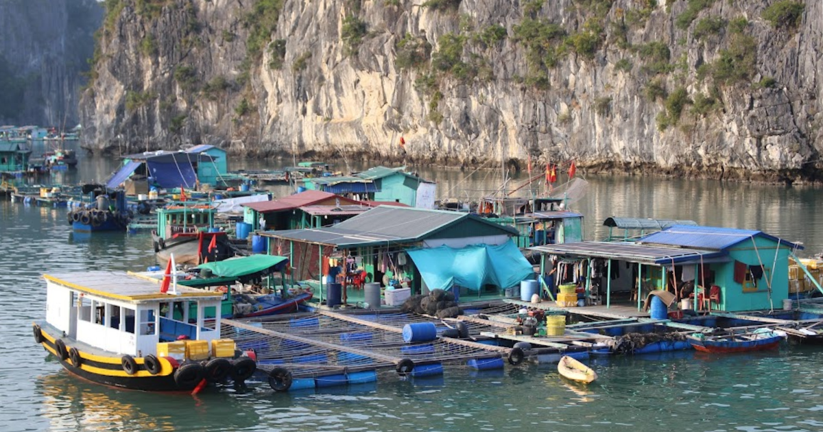 Village flottant de la baie d'Ha Long