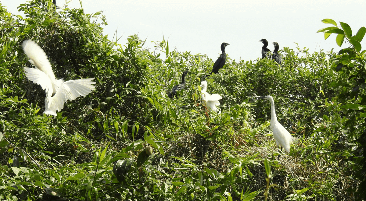 Voyager à Ben Tre