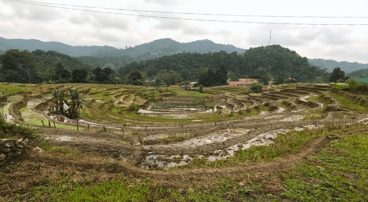 Hébergement chez l’habitant à Ha Giang