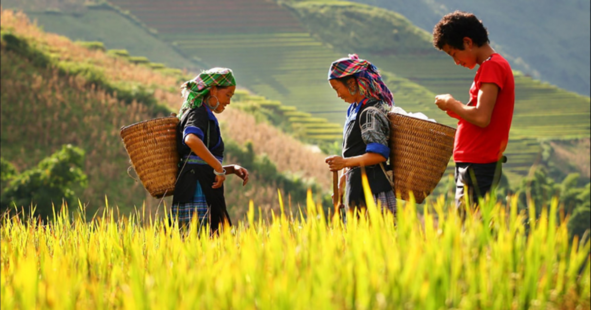 Village de Luoc