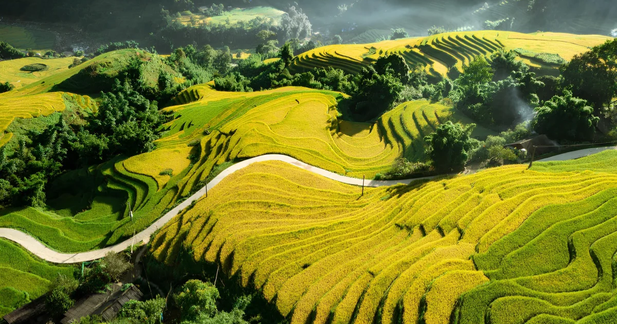 Randonnée à Sapa