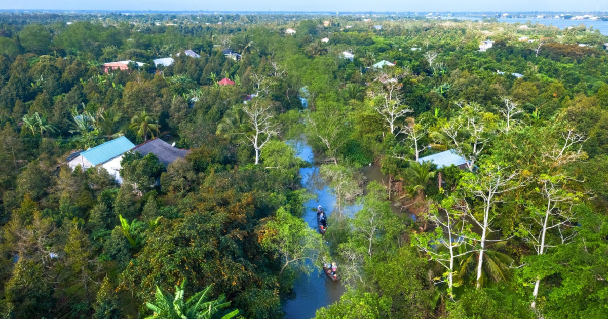 Île de Tan Phong
