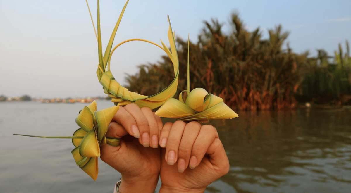 La forêt de cocotiers à Hoi An