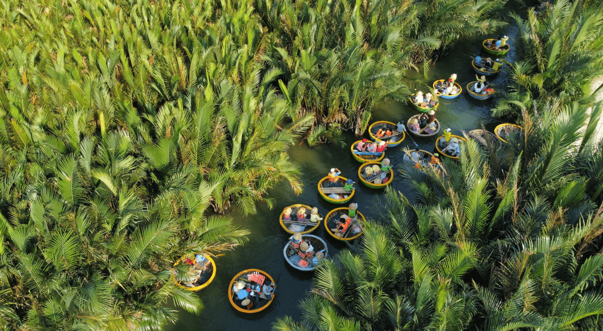 La forêt de cocotiers à Hoi An