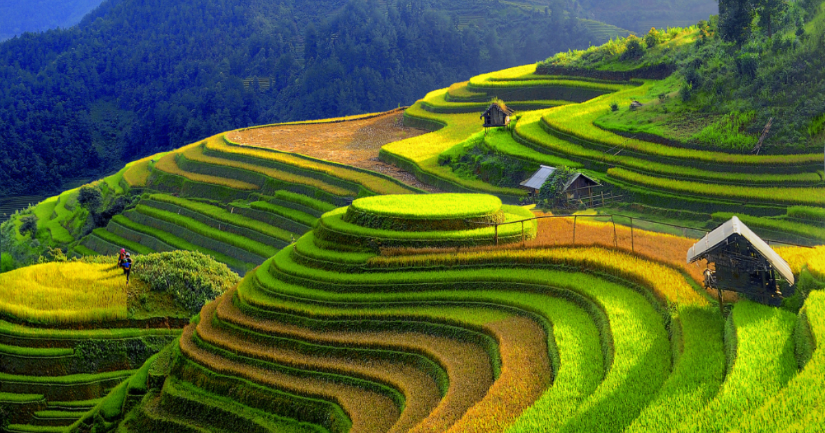 Voyage à Mu Cang Chai