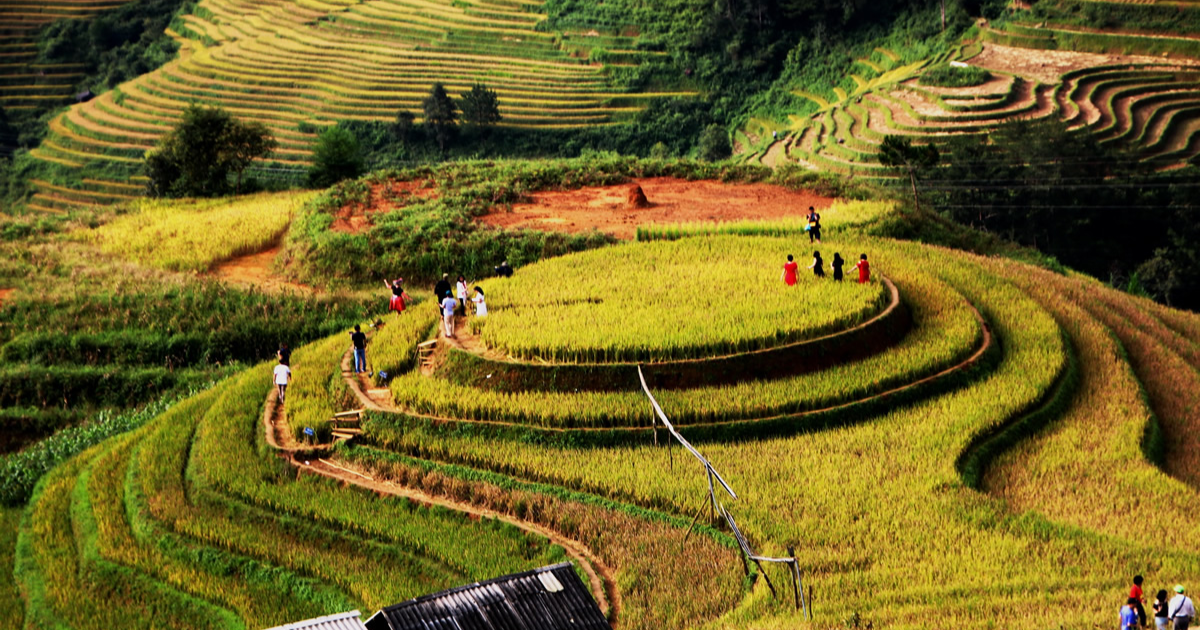 Voyage à Mu Cang Chai