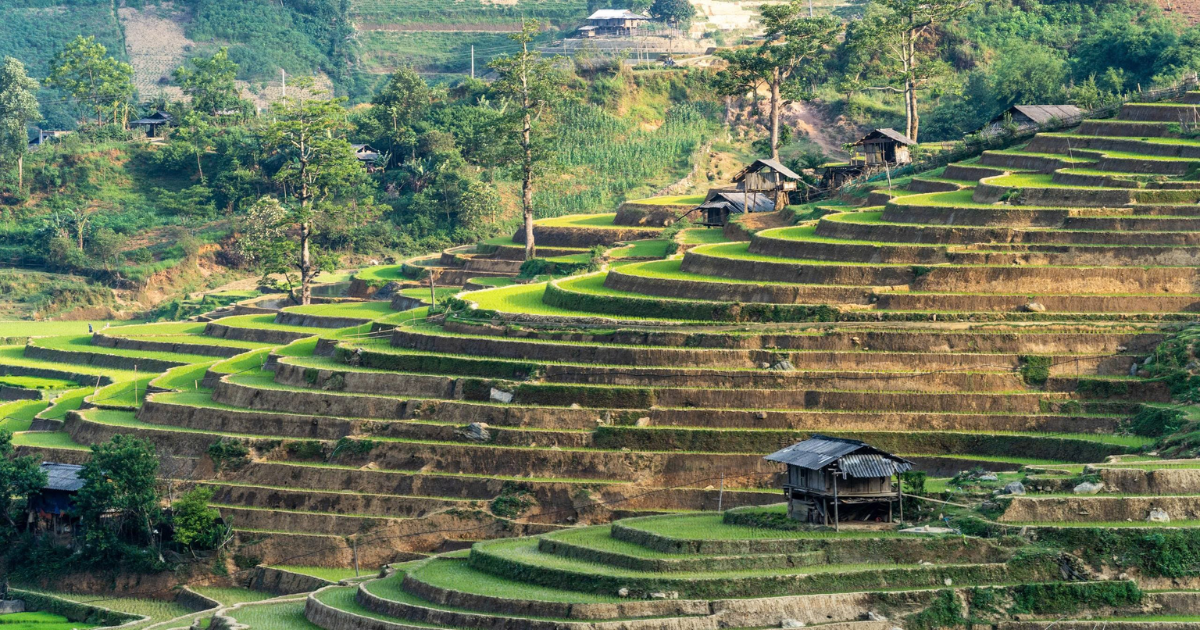 Voyage à Mu Cang Chai