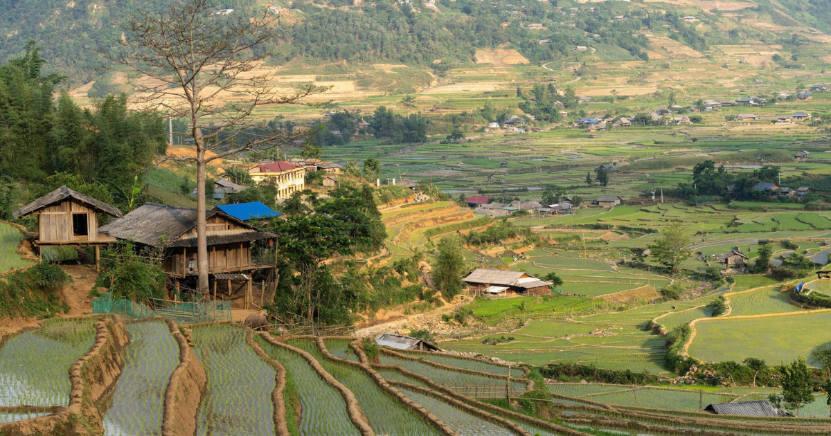 Voyage à Mu Cang Chai
