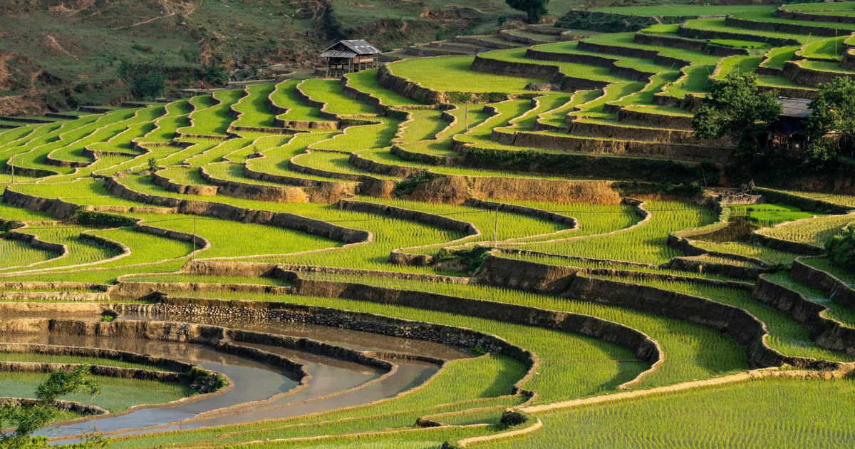 Voyage à Mu Cang Chai