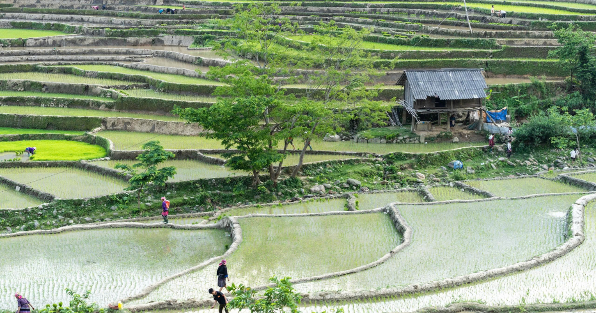 Voyage à Mu Cang Chai