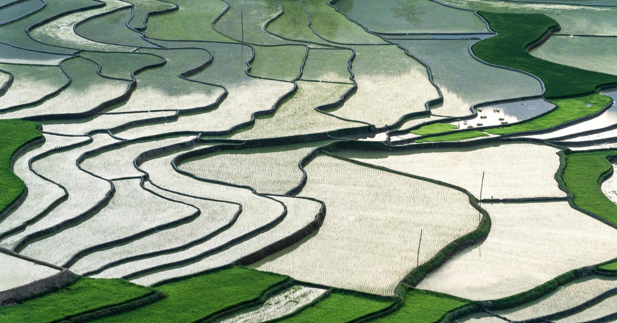 Voyage à Mu Cang Chai