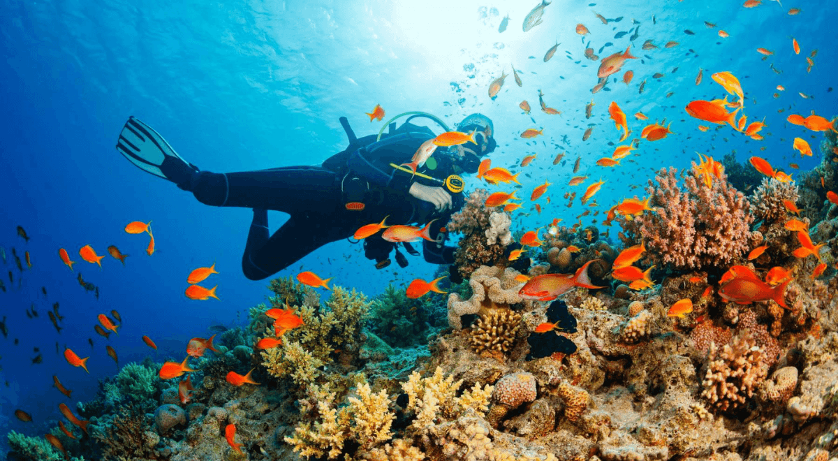 Activités à Phu Quoc