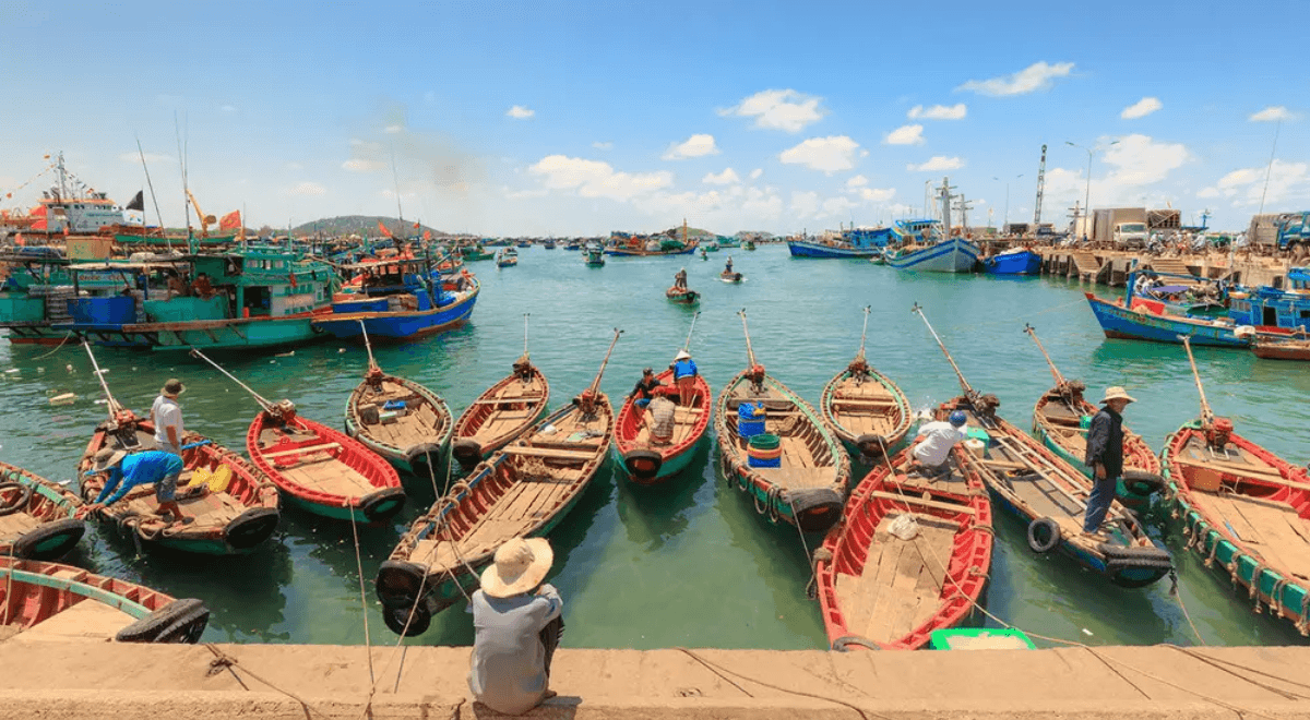 Activités à Phu Quoc