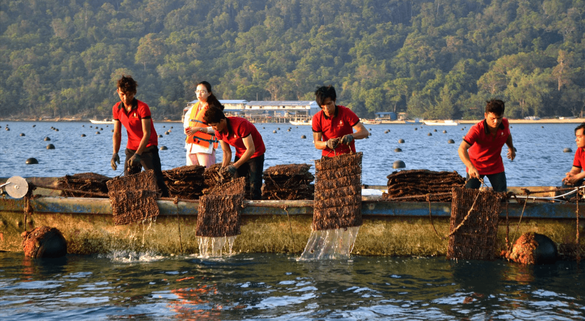 Activités à Phu Quoc