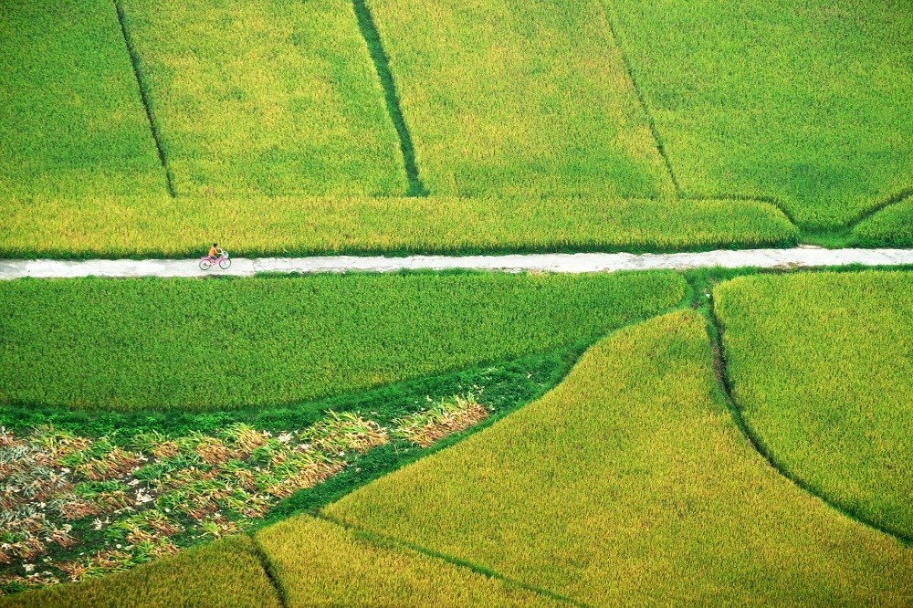 le-village-quynh-son