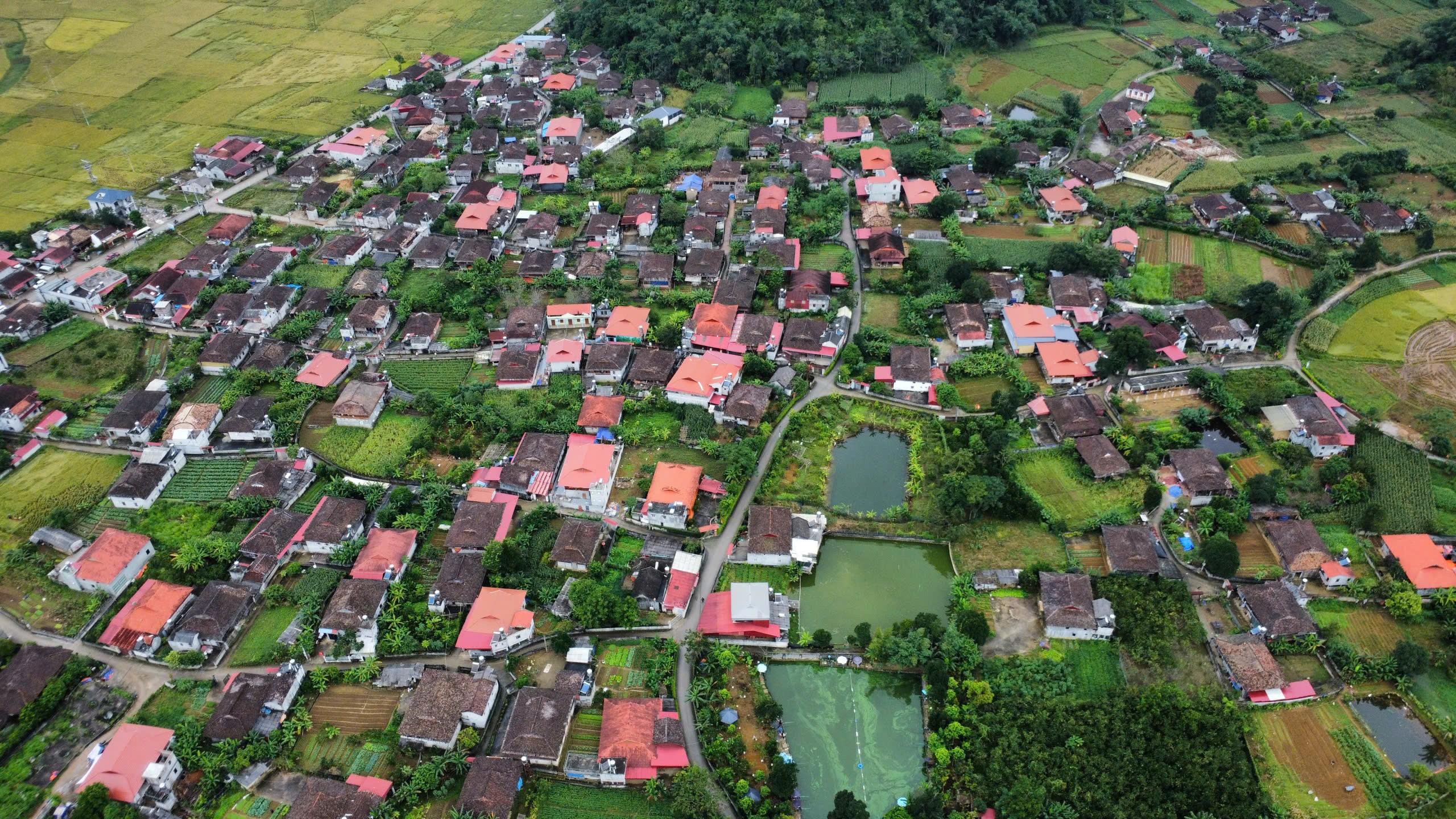 le-village-quynh-son