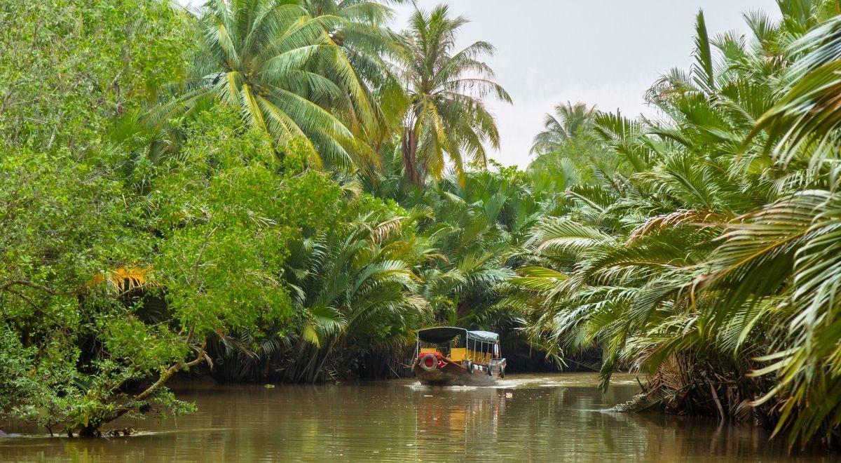 Balade en bateau sur les petits canaux verdoyants de Bến Tre, dans le delta du Mékong.