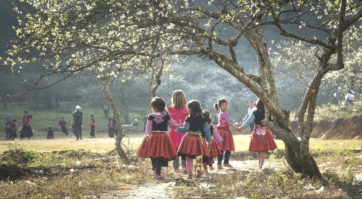 Des enfants jouant au milieu des pruniers en fleurs dans les montagnes du Vietnam.