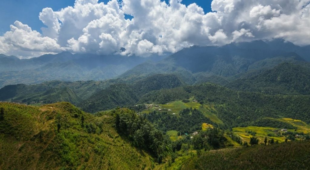 Sa Pa en été, avec ses montagnes et ses rizières en terrasses recouvertes d’une végétation luxuriante.